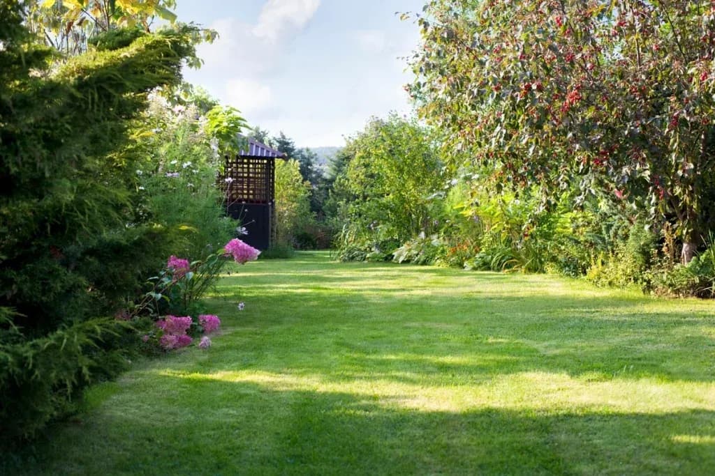 garden