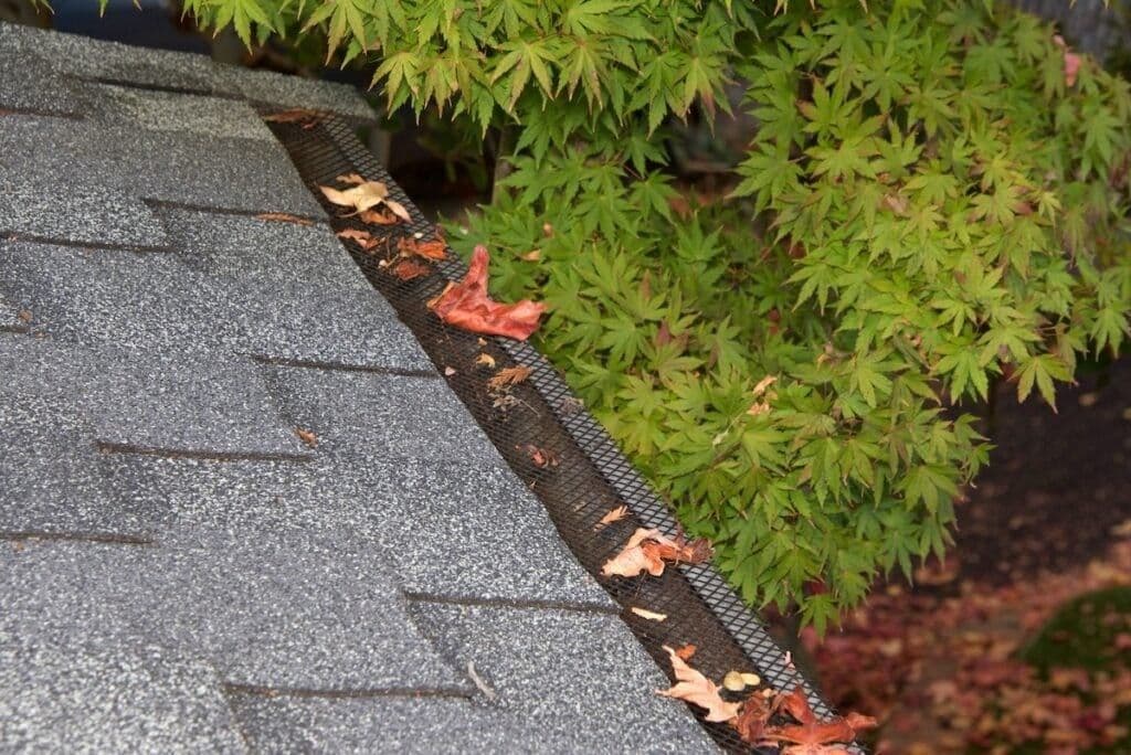 gutter leaves