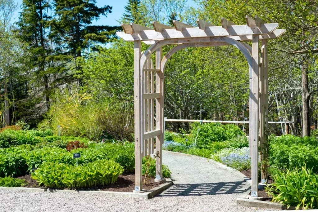 garden