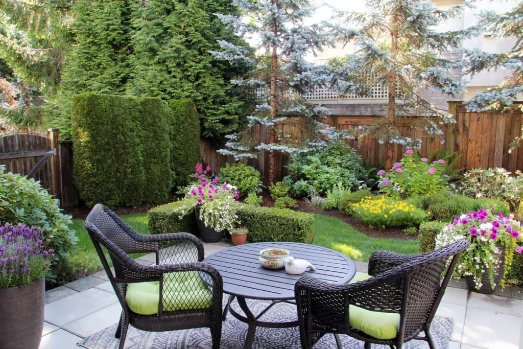 backyard