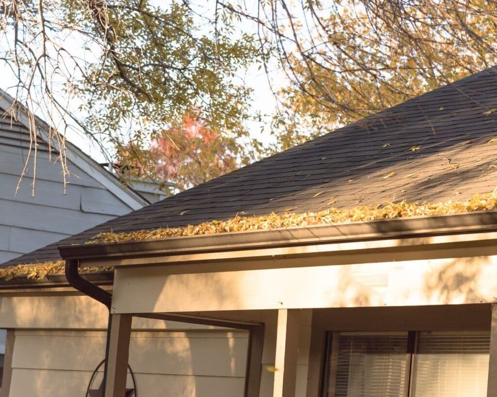 leaf gutter