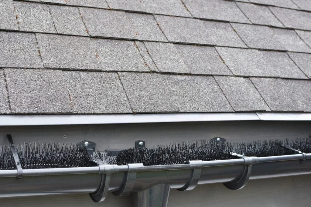gutter brush